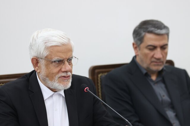 عارف: تفسیر از قوانین، ریشه فساد است