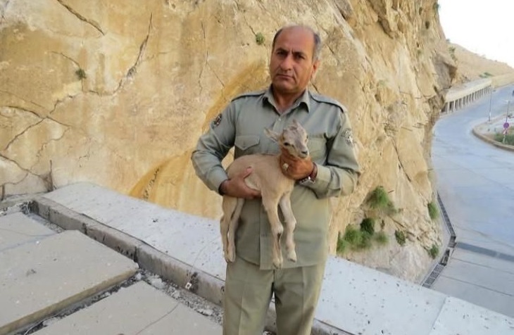 قاتل هدایتالله دیدهبان، محیطبان خائیز دستگیر شد قاتل هدایتالله دیدهبان، محیطبان خائیز دستگیر شد