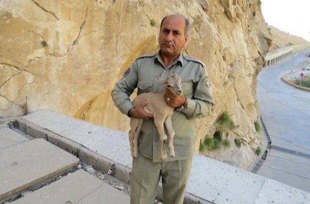 دومین قاتل شهید دیده‌بان دستگیر شد