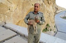 دومین قاتل شهید دیده‌بان دستگیر شد