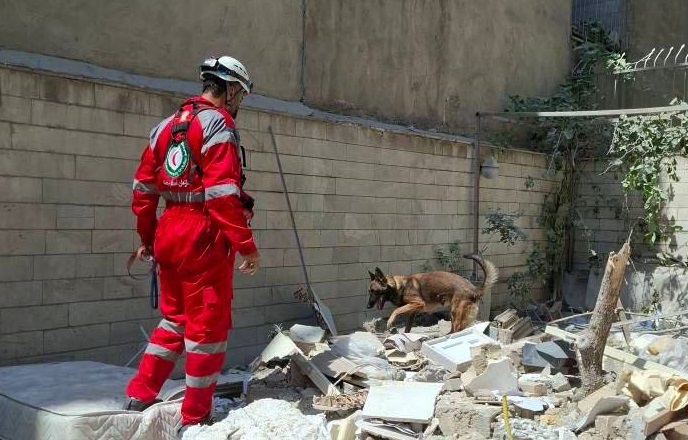 درخواست جمعیت هلال احمر از صلیب سرخ جهانی