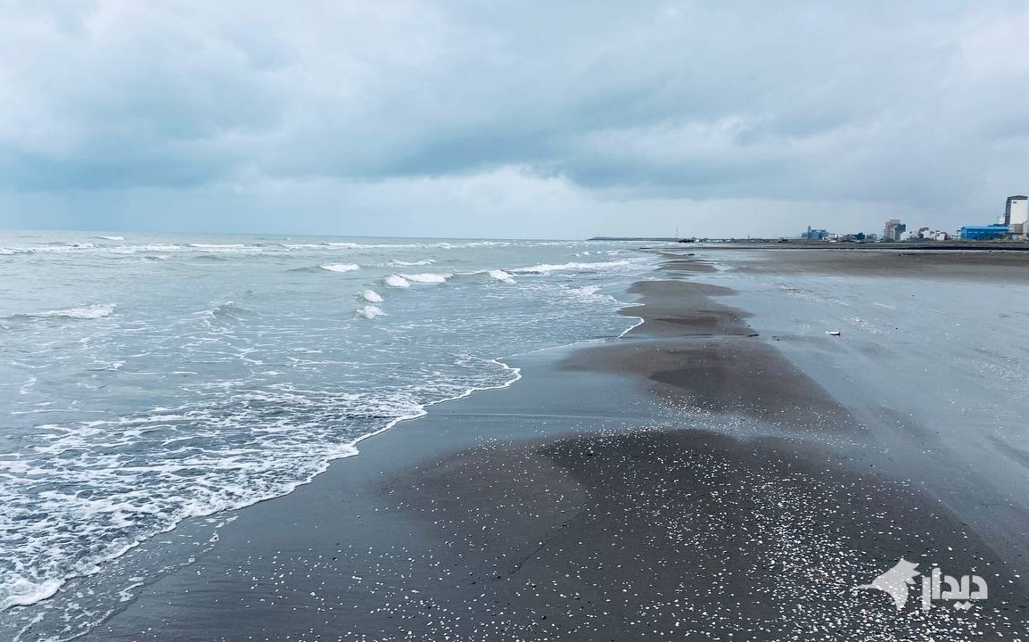 رگبار و کاهش دما در ۱۳ استان/ تهران ۳۸ درجه رگبار و کاهش دما در ۱۳ استان/ تهران ۳۸ درجه