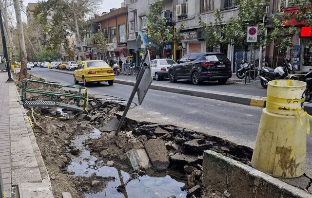 توضیح شهرداری درباره جابه‌جایی درختان خیابان فلسطین