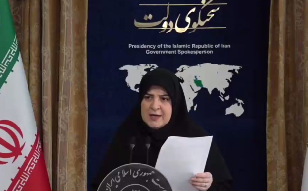 واکنش سخنگوی دولت به احتمال گرانی بنزین واکنش سخنگوی دولت به احتمال گرانی بنزین