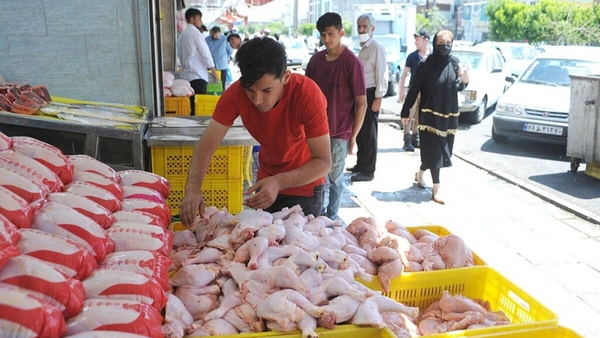 ادعای وزیر درباره گرانی مرغ/ چه کسی برق را قطع کرد؟ ادعای وزیر درباره گرانی مرغ/ چه کسی برق را قطع کرد؟