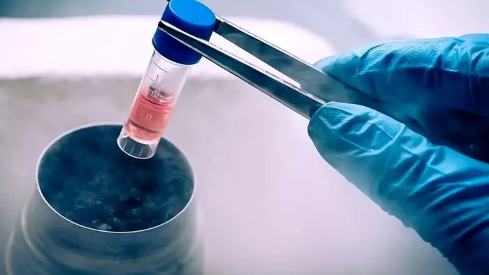 جنجال جنین‌های گم‌شده در یک بیمارستان