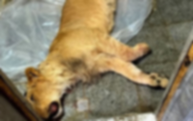 باغ وحش یا قتل‌گاه؟