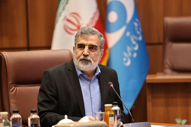 کمالوندی: برای تصویب قطعنامه پیشنهادی ایران تلاش می‌کنیم