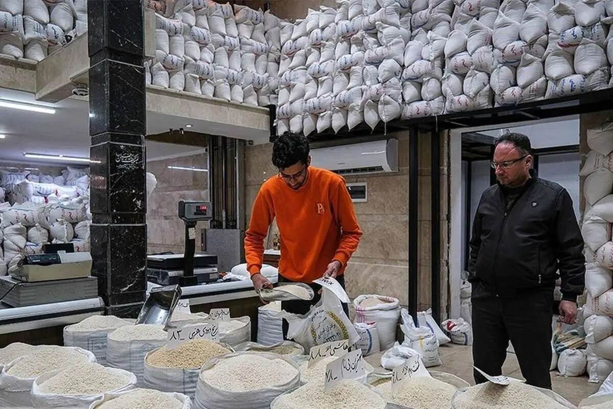 گرانی برنج به‌دلیل تغییر ذائقه و رشد تقاضا!