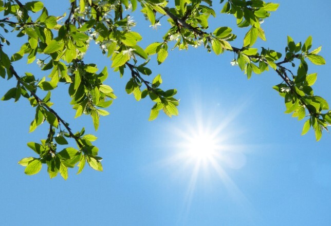 پایداری هوا و رگبار باران در جنوب شرق