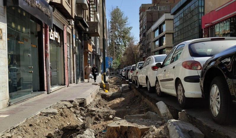 شهرداری، آفت درختان پایتخت