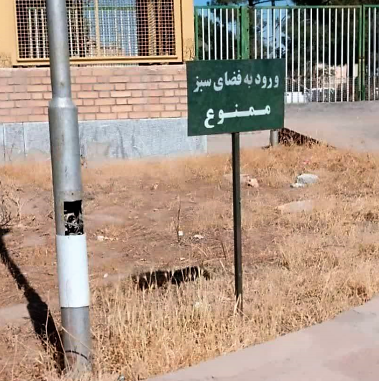 پیکانشهر تشنه است؛ فریادی در سکوت ساختاری