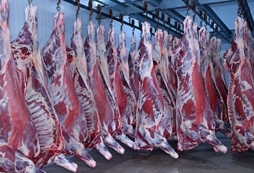 گوشت وارداتی از مغولستان توقیف شده/ نباید از اصطلاح گوشت آلوده استفاده شود