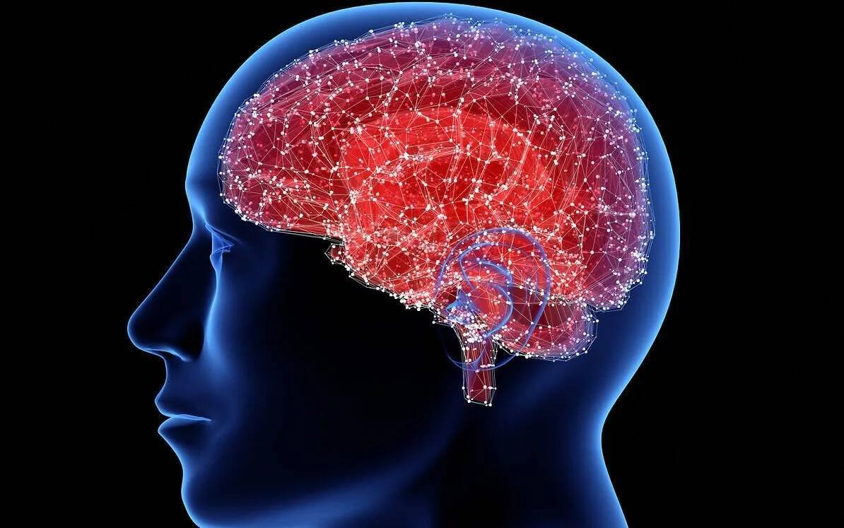 کشف مولکولی در مغز برای خاموشکردن احساس گرسنگی کشف مولکولی در مغز برای خاموشکردن احساس گرسنگی