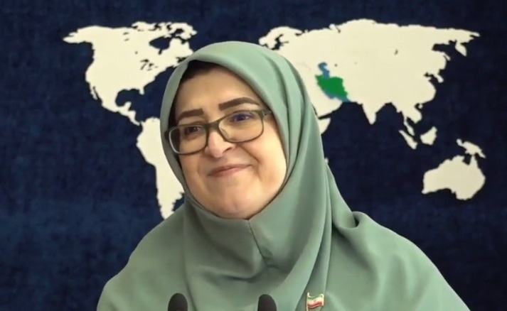 نشست خبری سخنگوی دولت؛ مهاجرانی «بدحال» شد +ویدیو