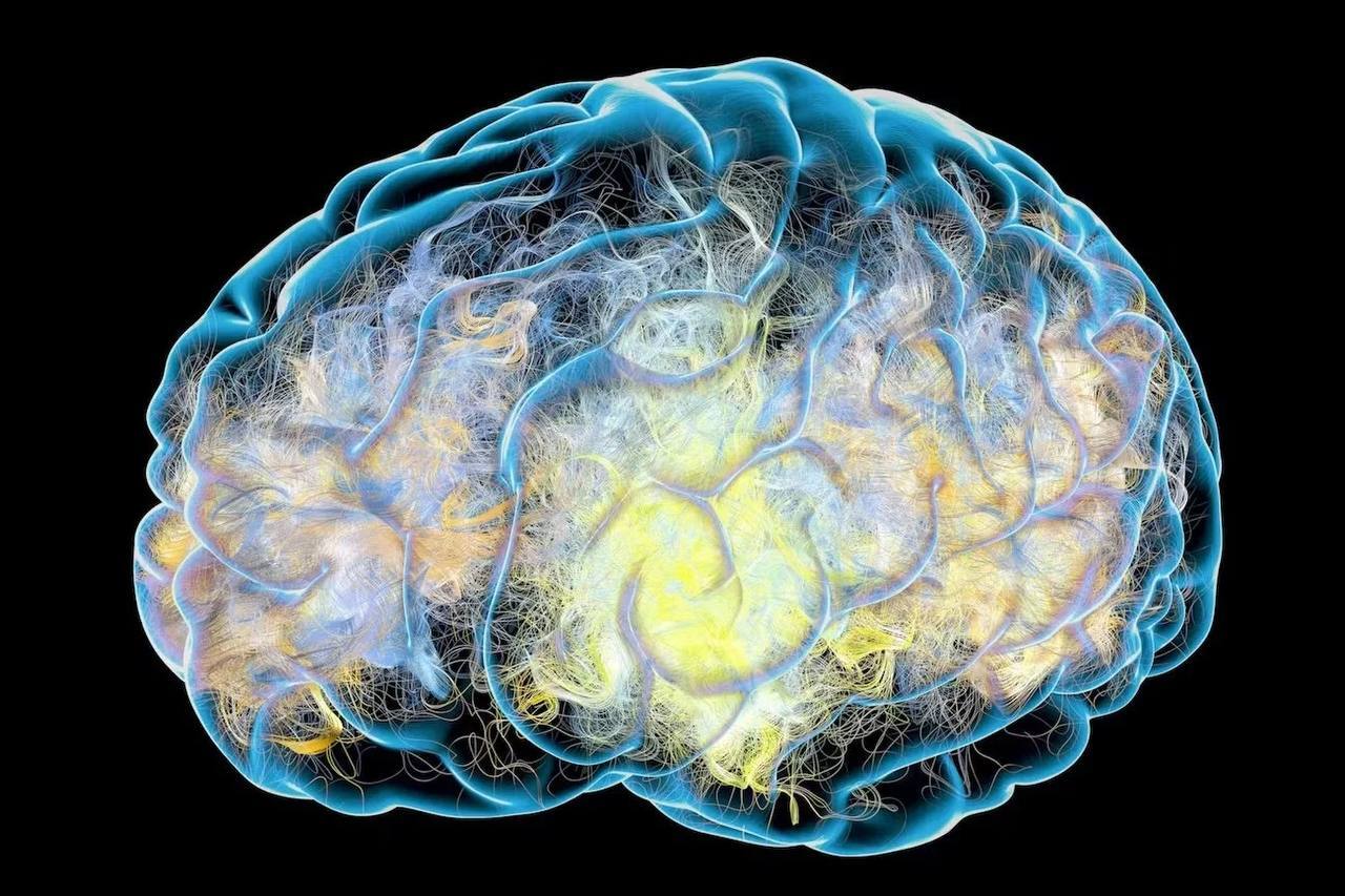 دانشمندان آلزایمر را با نانوذرات معکوس کردند دانشمندان آلزایمر را با نانوذرات معکوس کردند