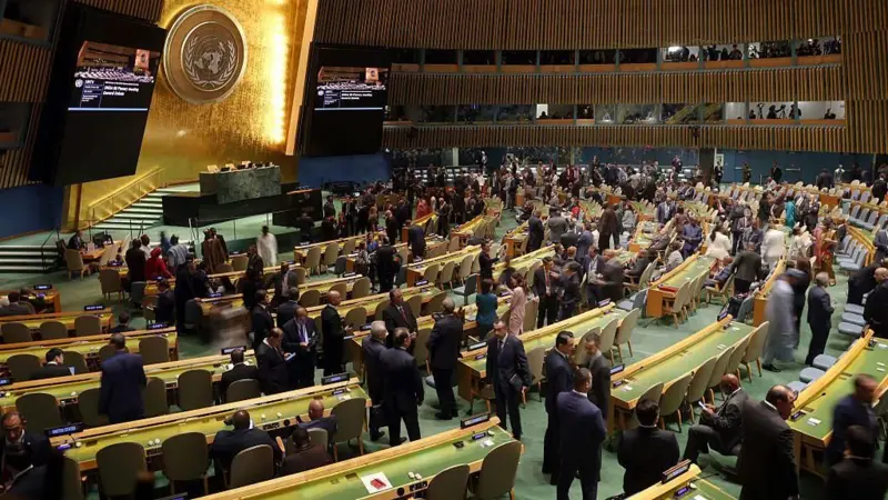 بیم و امید در نیویورک