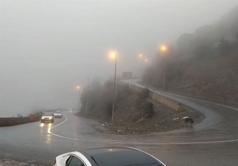 ترافیک سنگین در جاده چالوس ترافیک سنگین در جاده چالوس