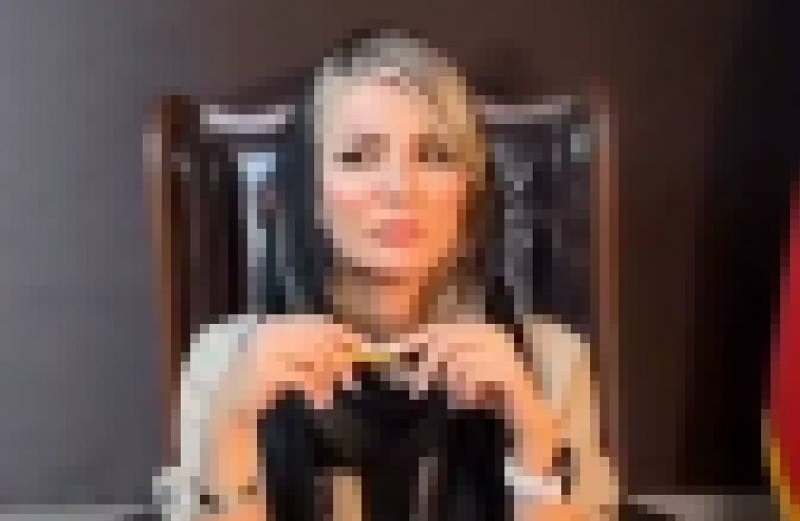 زن بلاگر وکیلنما بازداشت شد زن بلاگر وکیلنما بازداشت شد