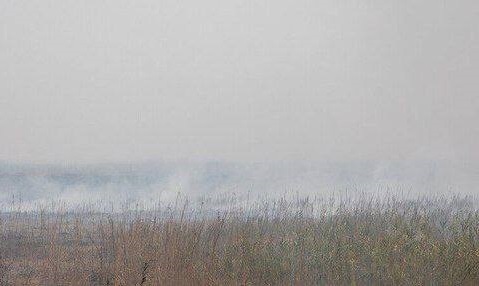 انتشار دود هورالعظیم در سراسر اهواز!