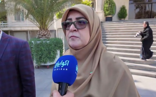 مهاجرانی: درخواست ایران برای نشست با ویتکاف و اروپاییها رد شد مهاجرانی: درخواست ایران برای نشست با ویتکاف و اروپاییها رد شد