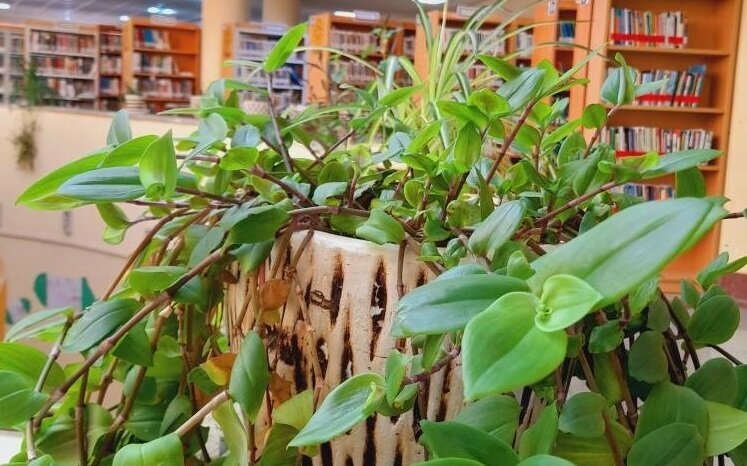 مدیریت سبز در کتابخانهها مدیریت سبز در کتابخانهها