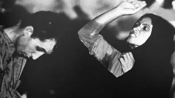 اشتباه «خفاش شب» چه بود؟