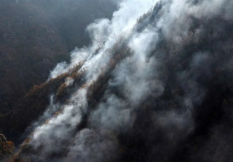 فاجعه در جنگل‌های هیرکانی