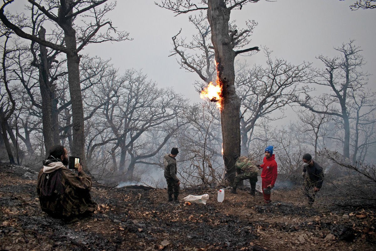 فاجعه در جنگل‌های هیرکانی