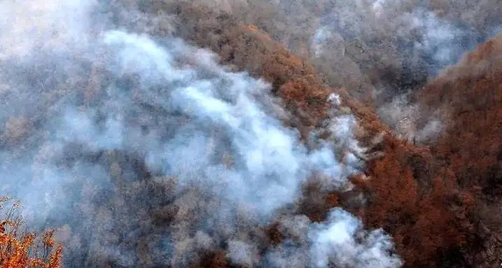 رایزنی با روسیه و ترکیه برای مهار آتش الیت