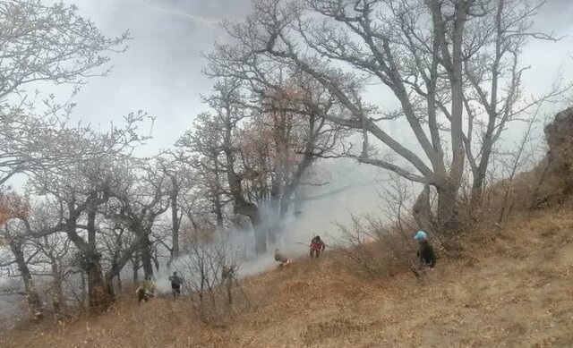 آتش در جنگل‌های الیت؛ ۲ هواپیمای آبپاش ترکیه رسید