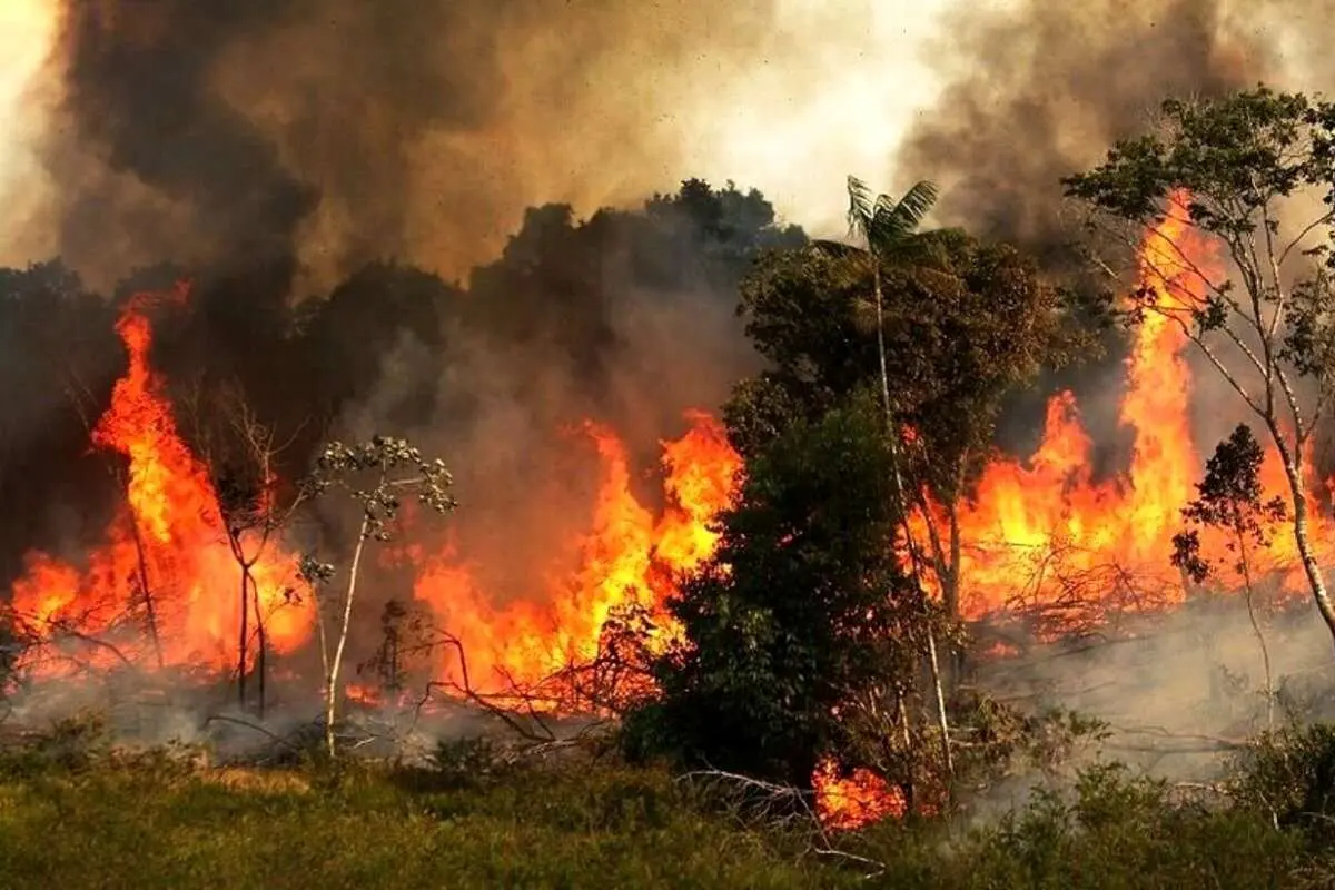 آتش هیرکانی؛ دلیل فاجعه چیست؟