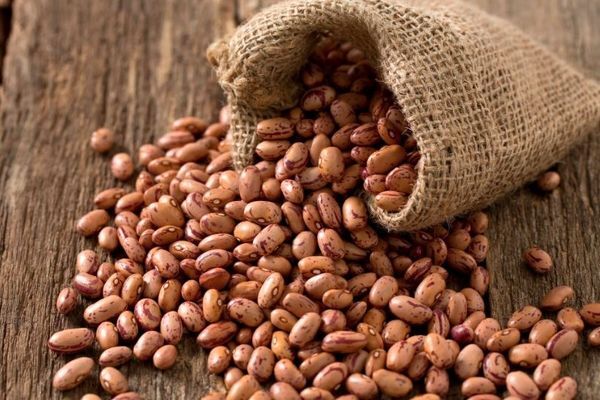 گرانی ۴۰ برابری لوبیا چیتی در ۸ سال