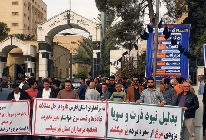 تجمع مرغداران فارس در اعتراض به گرانی نهاده‌های دامی