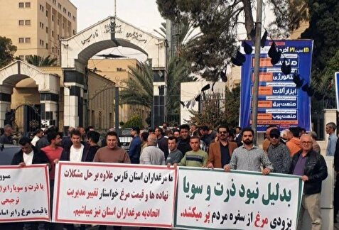 تجمع مرغداران فارس در اعتراض به گرانی نهاده‌های دامی