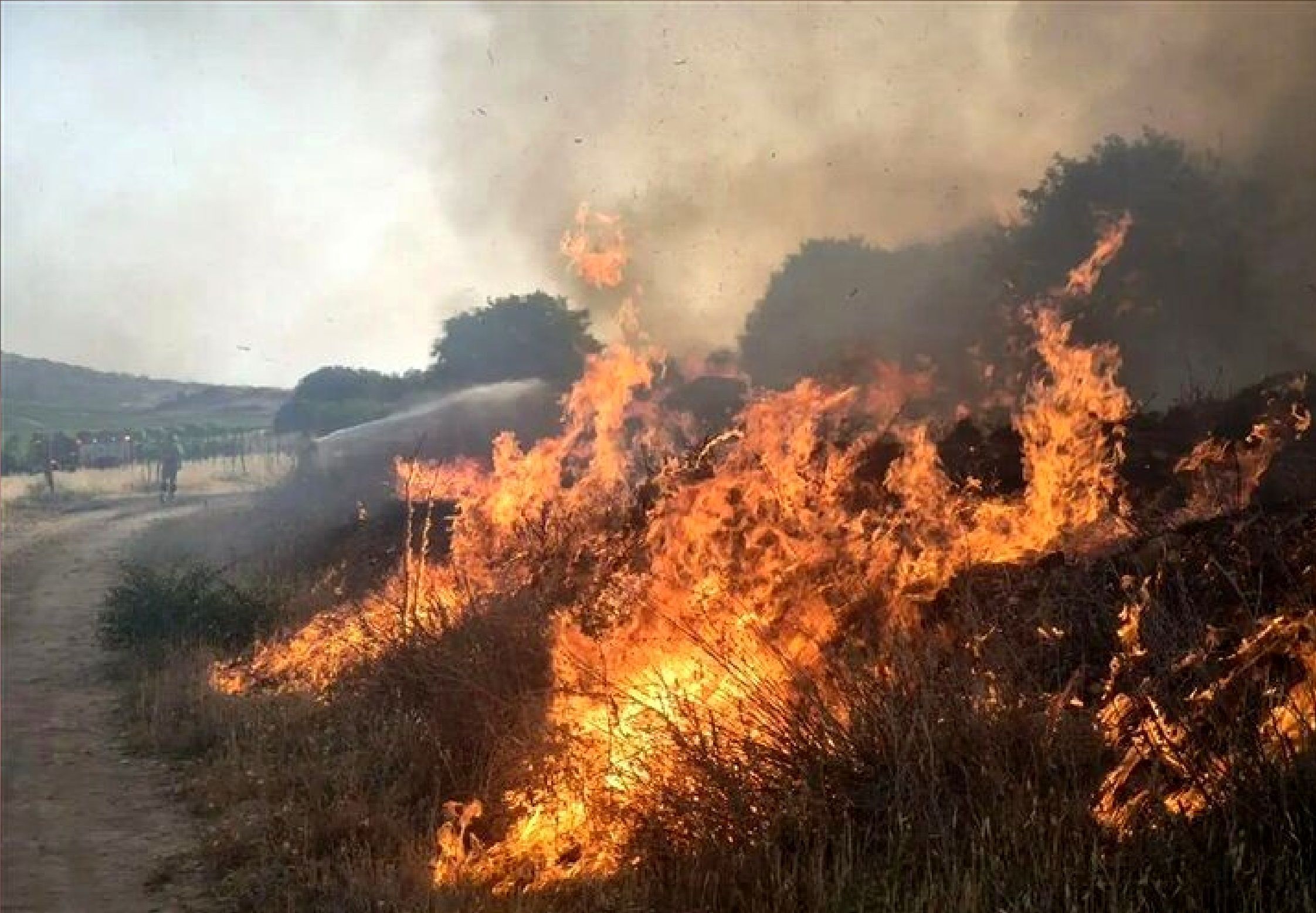 جنگل الیت؛ مهار آتش در شرق و شمال