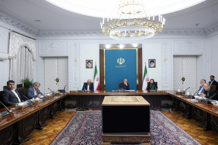 مهم‌ترین اولویت توسعه ناوگان عمومی و تکمیل کریدور‌های ریلی است/ شهرداری‌ها به سمت تراکم‌فروشی نروند