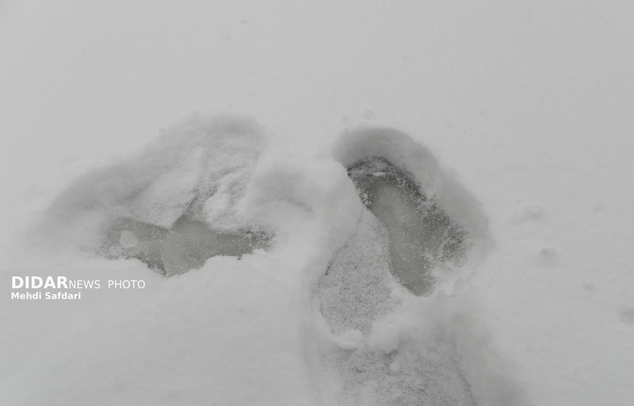 هشدار کاهش ۵ تا ۱۵ درجه‌ای دما/ بارش برف و باران در ۹ استان