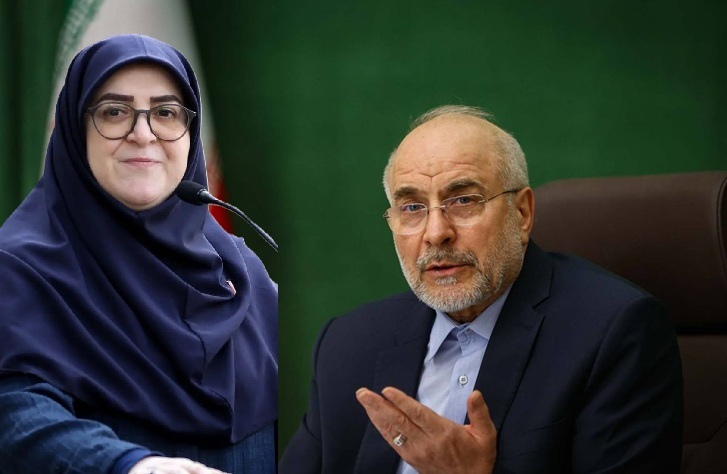 پاسخ سخنگوی دولت به اظهارات قالیباف؛ مجلس هم مسوولیت دارد