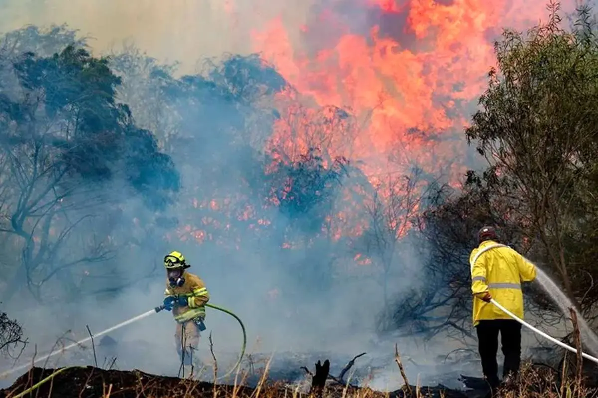 بحران در جنگلها؛ ۴۶ هزار هکتار اراضی ملی در آتش سوخت بحران در جنگلها؛ ۴۶ هزار هکتار اراضی ملی در آتش سوخت