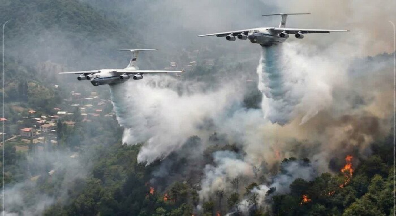 شکارچیان غیرمجاز «الیت» را آتش زدند شکارچیان غیرمجاز «الیت» را آتش زدند