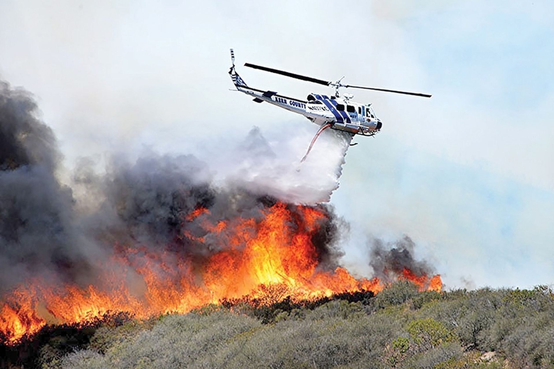 شکارچیان غیرمجاز «الیت» را آتش زدند شکارچیان غیرمجاز «الیت» را آتش زدند