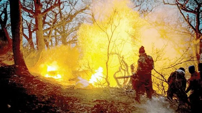 مافیای چوب پشت پرده آتش‌سوزی؟