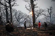 هشدار کم‌آبی در شمال کشور/ بسیاری از درختان الیت جان سالم به‌در بردند
